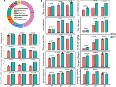 Enhancing plant growth in biofertilizer-amended soil through nitrogen-transforming microbial communities